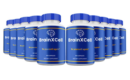 BrainXCell Capsules – PeopleRoutine